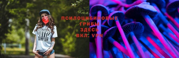 первитин Алексин