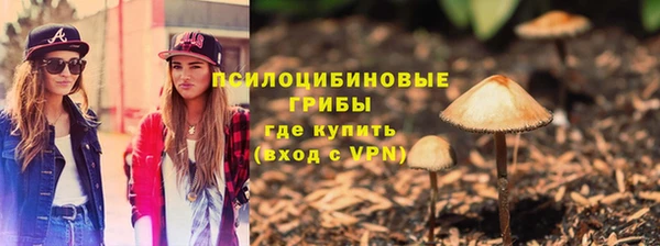 прущие крисы Абинск