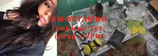 дмт Абаза